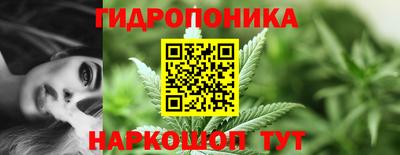 apvp Пугачёв