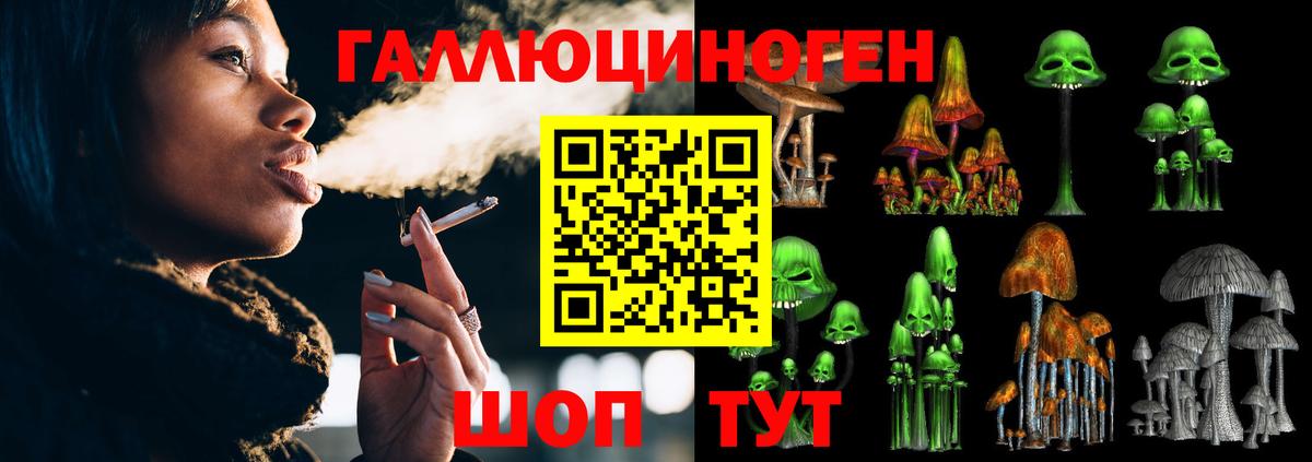 Сегежа  Псилоцибиновые грибы ЛСД  Вход с VPN 